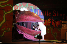 Little Shop of Horrors 52